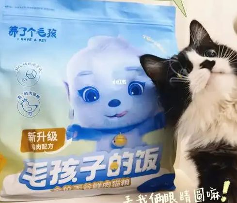 粮！三只松鼠靠什么重返宠物食品赛道ky开元棋牌零食巨头盯上毛孩子口(图1)