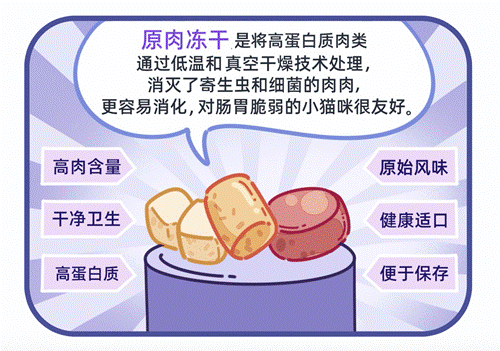 喂养新趋势毛孩子也能实现冻干自由开元棋牌app天猫国际揭秘宠物(图2)
