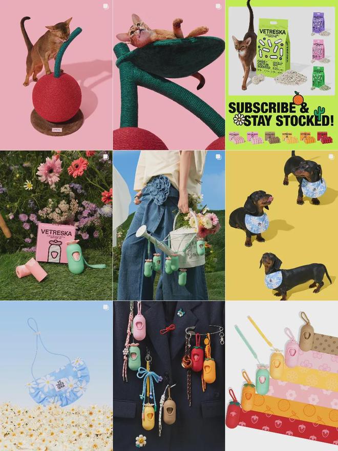 美把160美元的猫爬架卖成了爆款开元棋牌你没听过的上海品牌在北(图1) 美把160美元的猫爬架卖成了爆款开元棋牌你没听过的上海品牌在北(图1)