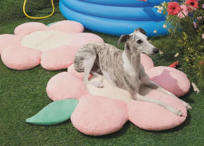 美把160美元的猫爬架卖成了爆款开元棋牌你没听过的上海品牌在北(图4) 美把160美元的猫爬架卖成了爆款开元棋牌你没听过的上海品牌在北(图4)