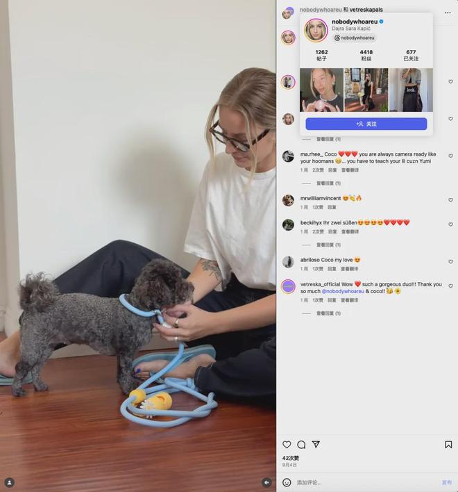 美把160美元的猫爬架卖成了爆款开元棋牌你没听过的上海品牌在北(图6) 美把160美元的猫爬架卖成了爆款开元棋牌你没听过的上海品牌在北(图6)