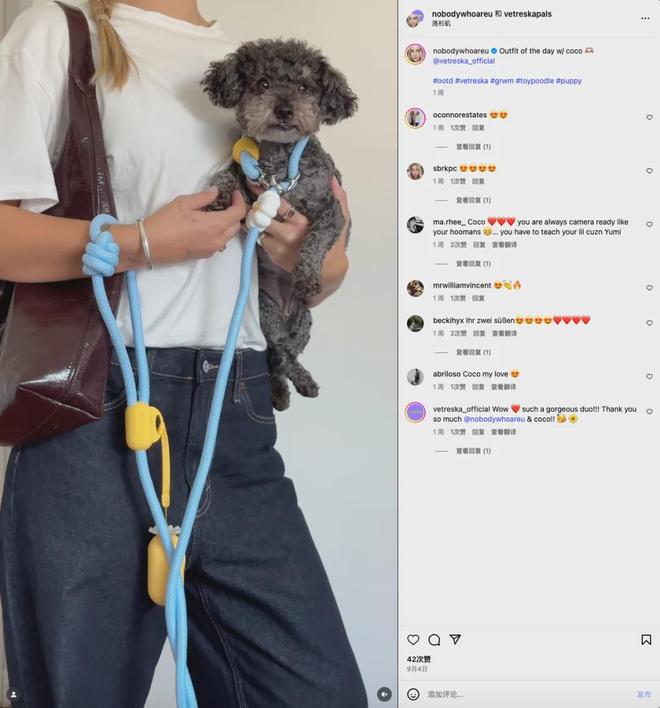 美把160美元的猫爬架卖成了爆款开元棋牌你没听过的上海品牌在北(图5) 美把160美元的猫爬架卖成了爆款开元棋牌你没听过的上海品牌在北(图5)