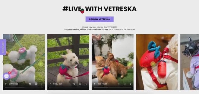 美把160美元的猫爬架卖成了爆款开元棋牌你没听过的上海品牌在北(图8) 美把160美元的猫爬架卖成了爆款开元棋牌你没听过的上海品牌在北(图8)