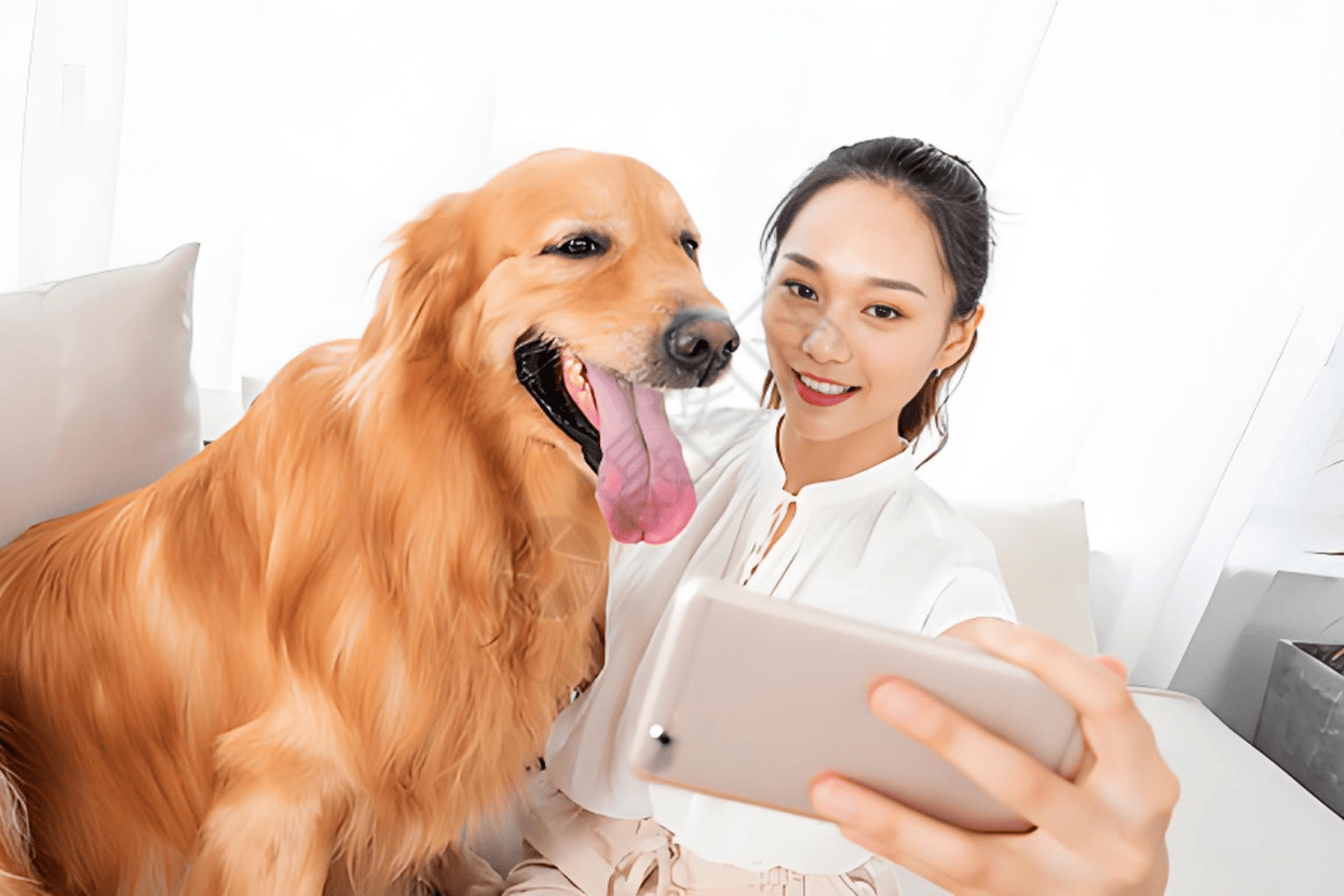 链分析：现状、痛点、需求、趋势开元棋牌网站宠物食品行业产业(图1)