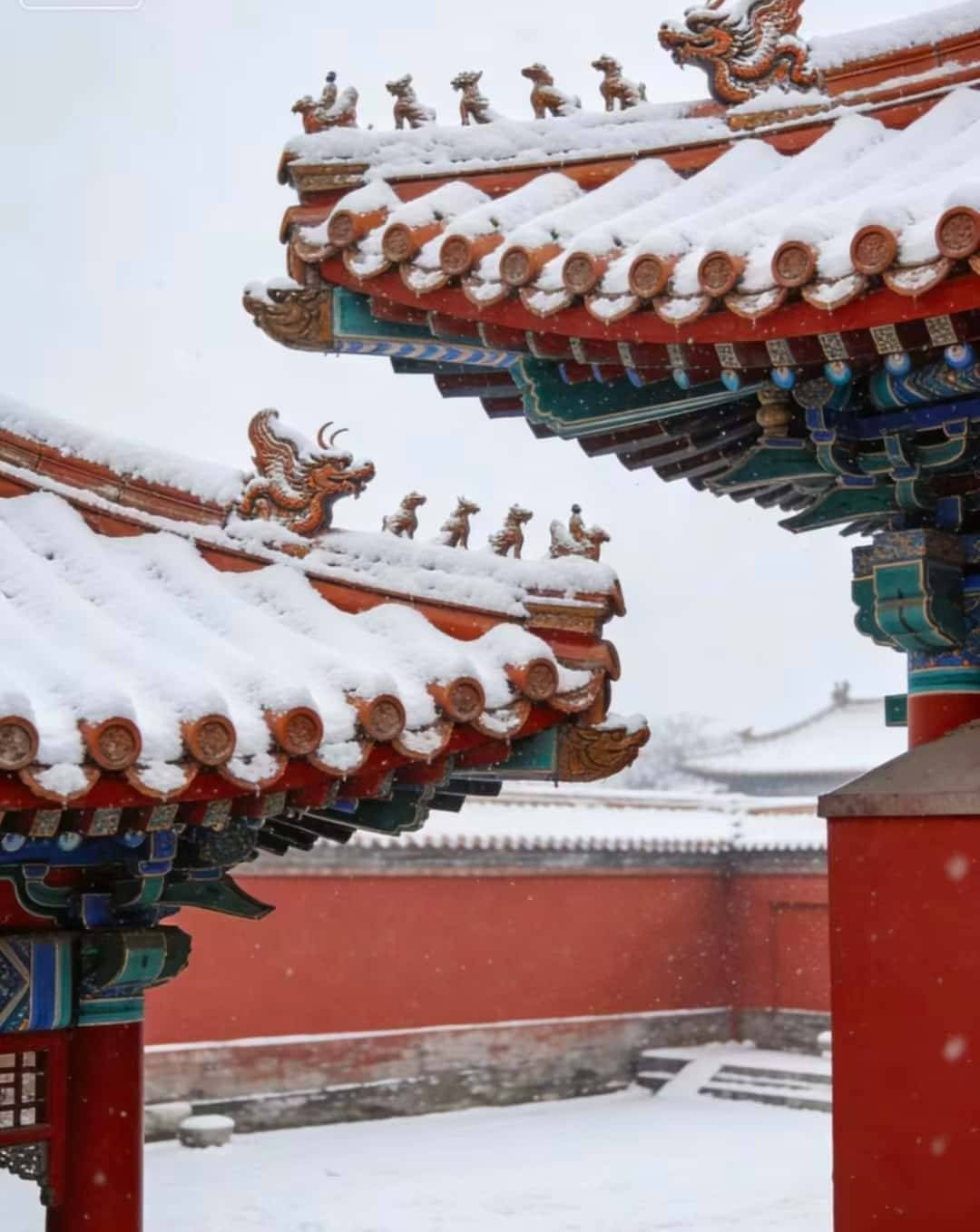 遗体验亲测靠谱纯玩无隐性消费前十推荐全家庭实用干货(1)开元棋牌北京五天四晚亲子避坑游！环球度假区 + 胡同非(图2)